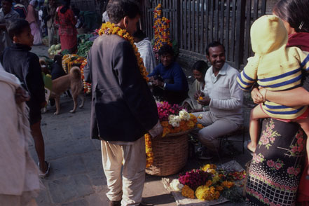 Flowers,-Kathmandu