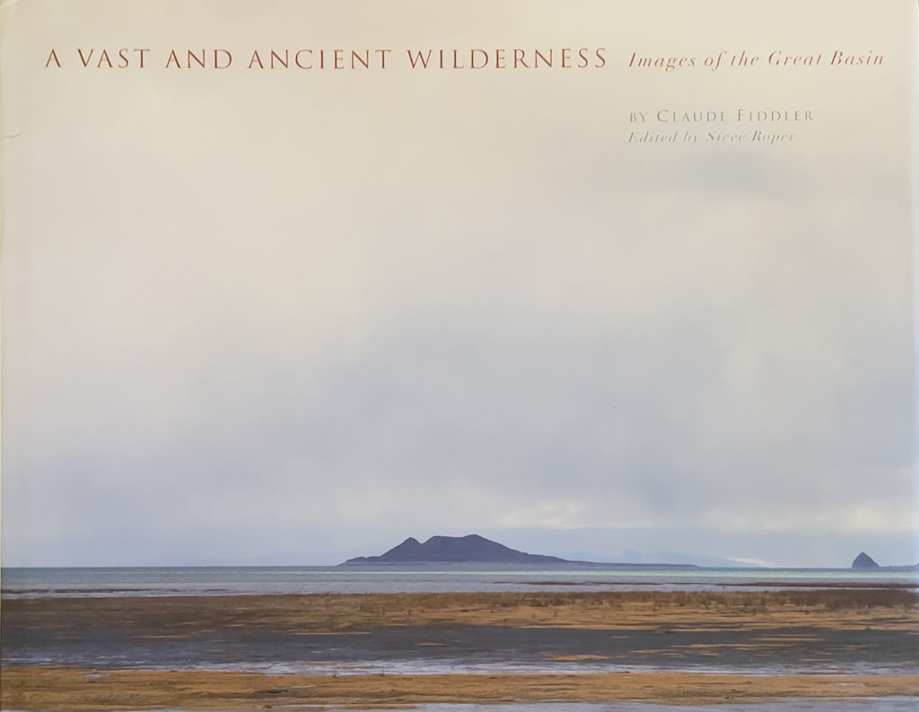 Vast and Ancient Wilderness copy